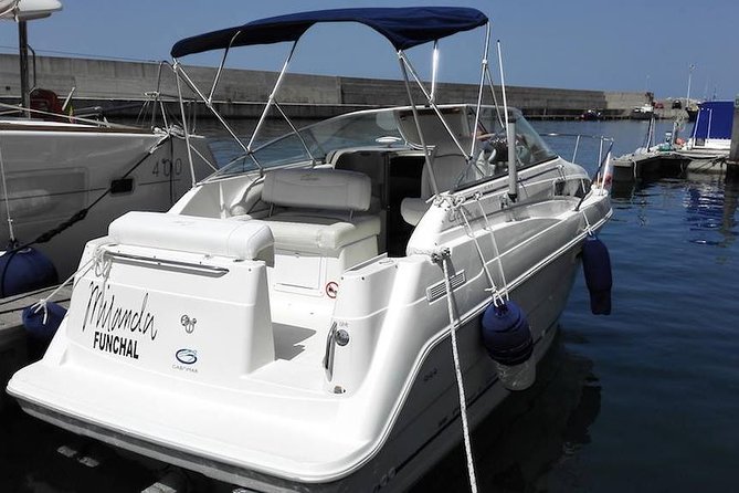 Private Dolphin and Whale Watching Tour in Madeira - Price for Up to 5 People, and How It Really Adds Up