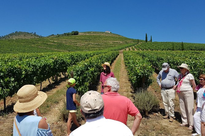 Private Douro Valley Wine Tour: 2 Wine Estates, Lunch and Cruise - Key Things That Make This Douro Tour a Smart Choice