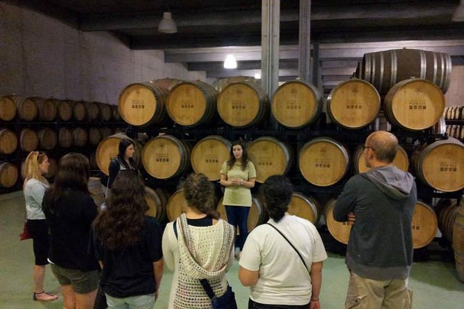 Private Douro Valley Wine Tour: 2 Wine Estates, Lunch and Cruise - Why This Douro Day Feels Low-Stress From Porto