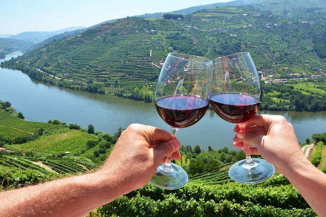 Private Douro Valley Wine Tour: 2 Wine Estates, Lunch and Cruise - Second Winery Finish: Estate Walk-Through and Three-Wine Tasting