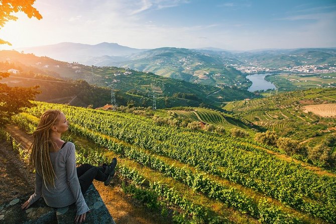 Private Douro Valley Wine Tour: 2 Wine Estates, Lunch and Cruise - Getting There From Porto: Pickup, Coffee Break, and Cultural Briefing