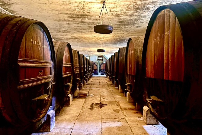 Private Lisbon-Arrábida Wine Tour: 3 Wineries, Coast & Heritage - Mercado do Livramento: oysters, tiles, and a seafood reset
