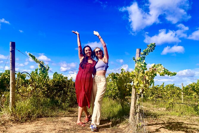 Private Lisbon-Arrábida Wine Tour: 3 Wineries, Coast & Heritage - Pickup from Lisbon, Almada, Sesimbra, Setúbal, and even the port