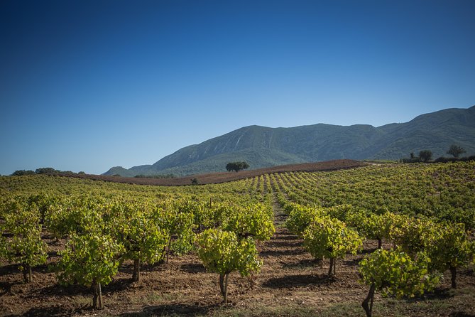 Private Lisbon Arrabida Wine Tour: Food & Wines, Mountain and Sea - Setting Off From Lisbon: A sea-and-wine day trip that makes sense