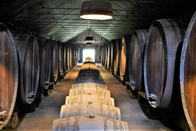 Private Wine Tasting in the Setúbal Wine Region, from Lisbon - Pickup, Timing, and How the Day Usually Flows