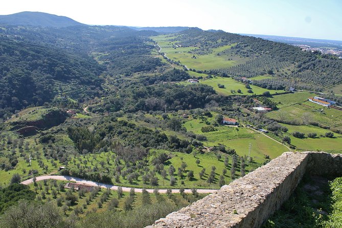 Private Wine Tasting in the Setúbal Wine Region, from Lisbon - Price and Value: What $151.16 per Person Actually Covers
