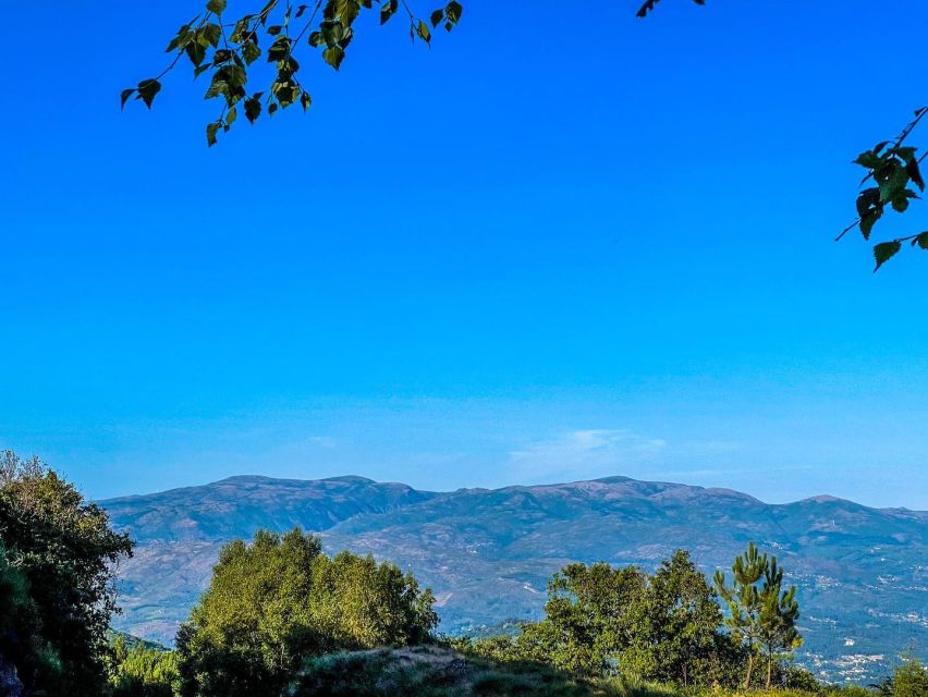 Prozelo: Buggy Tour - What the 2 Hours Feel Like, From Check-In to Getting on the Trail