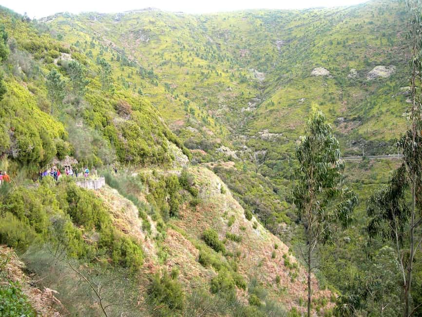 Rabaçal: 25 Fontes & Risco Levada Hiking Transfer - Why the 25 Fontes and Risco combo works so well
