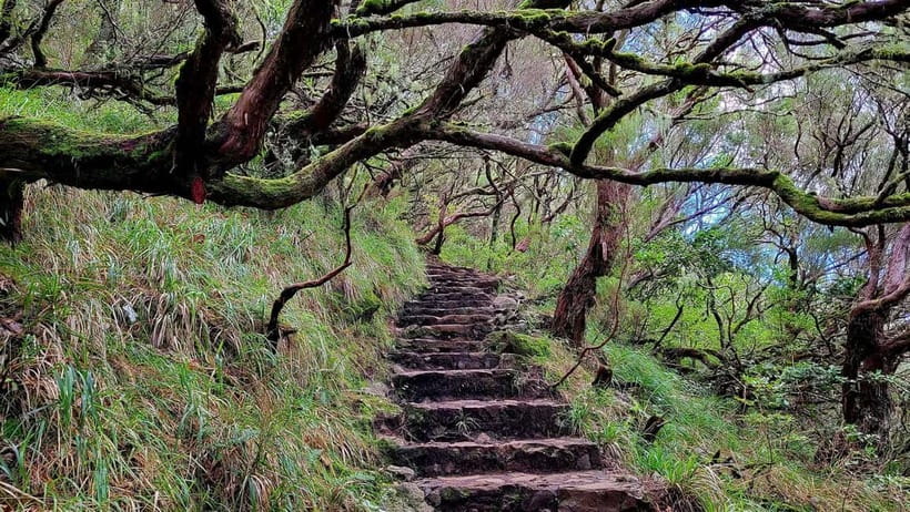 Rabaçal: 25 Fontes & Risco Levada Hiking Transfer - Who should book, and who should skip this Rabaçal levada hike