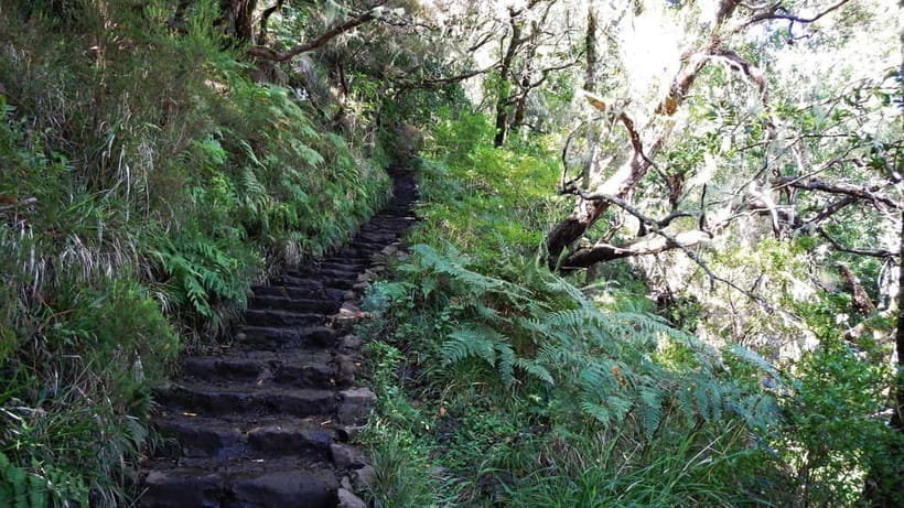 Rabaçal: 25 Fontes & Risco Levada Hiking Transfer - Transfer logistics from Funchal and the south coast (small van, big time saver)