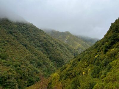 Rabaçal: 25 Fontes & Risco Levada Hiking Transfer