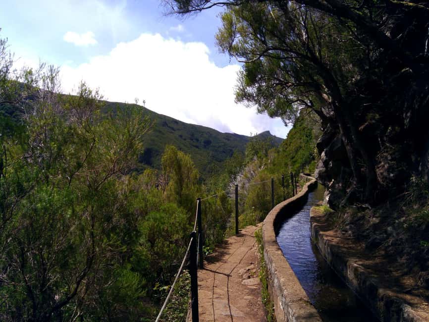 Rabaçal: 25 Fontes & Risco Levada Hiking Transfer - What you’ll see at 25 Fontes, and why early timing matters
