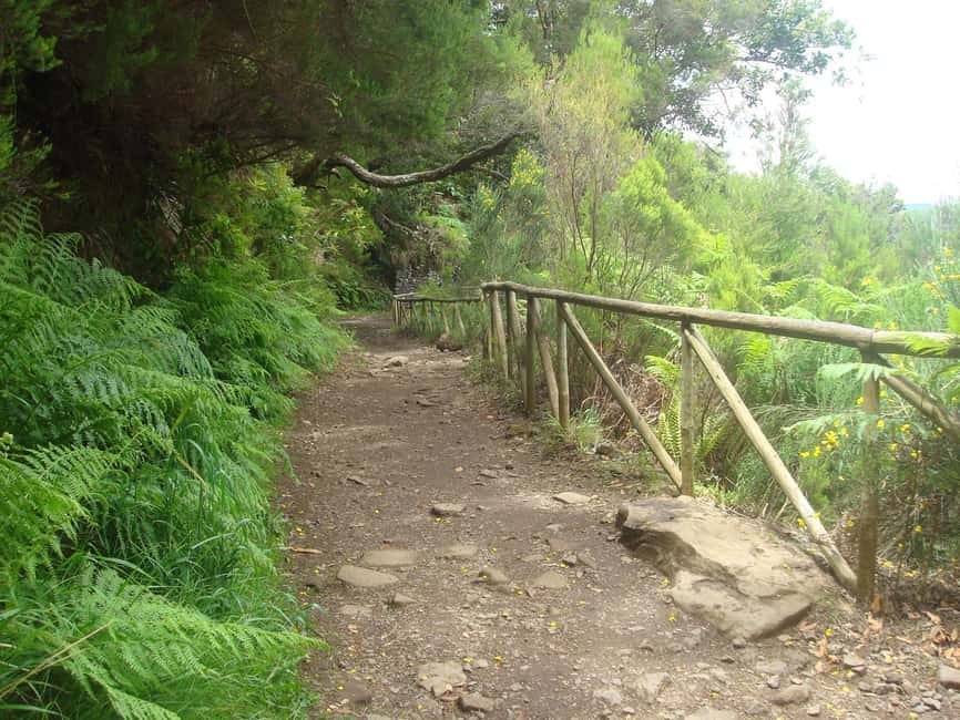 Rabaçal: 25 Fontes & Risco Levada Hiking Transfer - Weather in Madeira can change fast, so dress for slippery forest miles