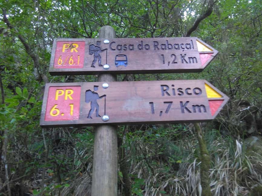Rabaçal: 25 Fontes & Risco Levada Hiking Transfer - Price value: $40 for transport and instructions, plus the required forest fee