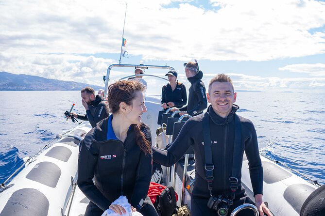 Responsible Whales and/or Dolphins Watching Tour - How the 2-hour plan actually plays out on the water