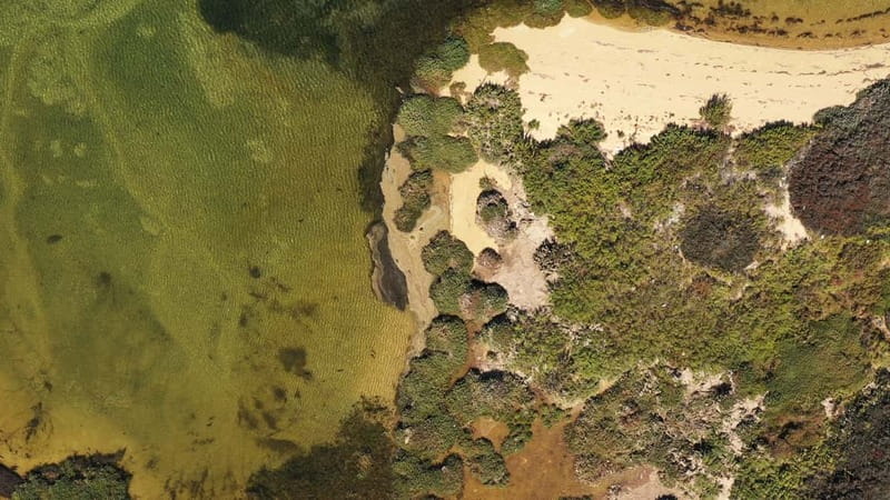 Ria Formosa: Armona and Culatra Islands 3-Hour Boat Tour - Ria Formosa by boat: marshes, sandbars, and wildlife on a timer
