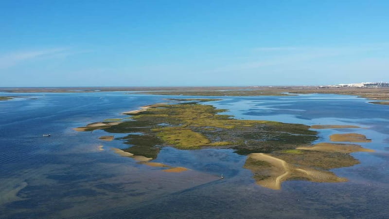 Ria Formosa: Armona and Culatra Islands 3-Hour Boat Tour - Praia Deserta and low tide: swimming plus sandbar photography
