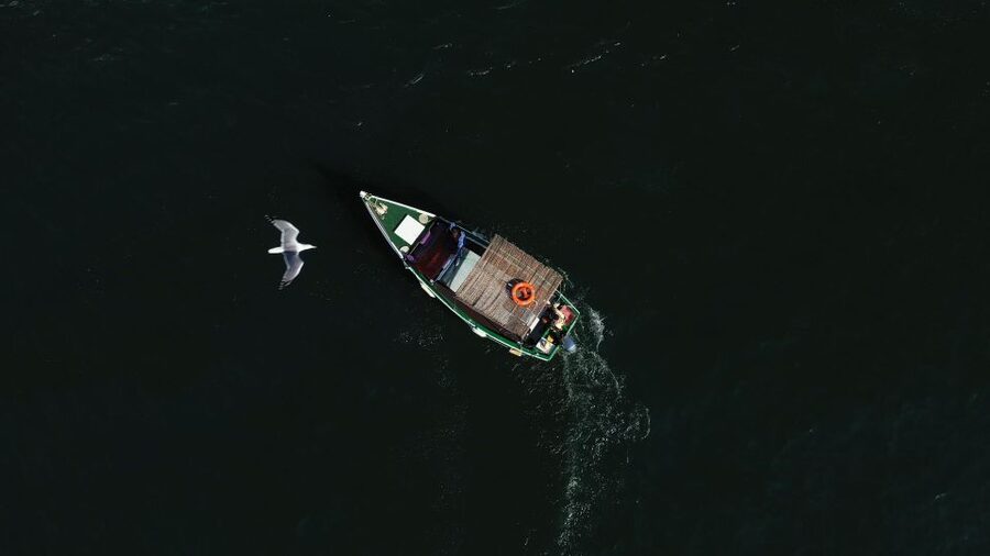 Ria Formosa: Armona and Culatra Islands 3-Hour Boat Tour - Armona Island: quieter beaches and that boat-only calm