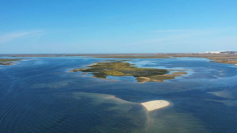 Ria Formosa: Armona and Culatra Islands 3-Hour Boat Tour - Captain-led nature talk: why multilingual narration matters here