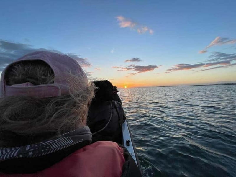 Ria Formosa: Armona and Culatra Islands 3-Hour Boat Tour - Price and what is actually included at sea