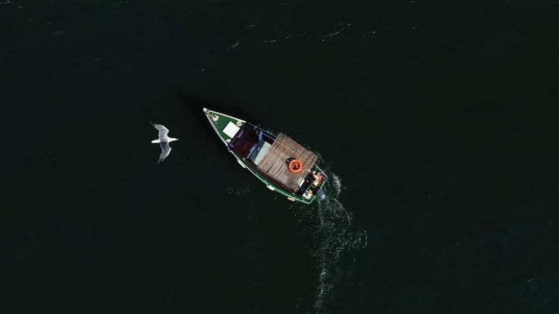 Ria Formosa: Armona and Culatra Islands 3-Hour Boat Tour - Practical tips that make the 3-hour trip feel easy