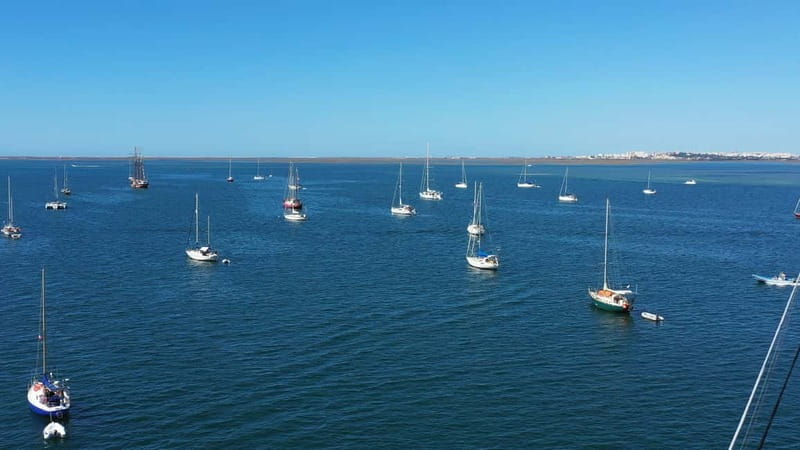 Ria Formosa: Armona and Culatra Islands 3-Hour Boat Tour - Culatra Island: car-free life, local food, and serious beach walking