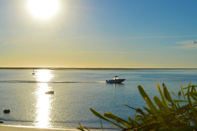 Ria Formosa & Ilhas: Sunset Boat Trip - Culatra Island: Atlantic-side sand and big sky moments