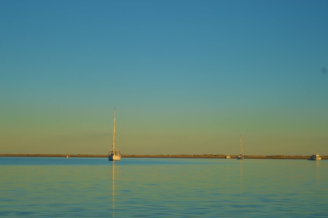 Ria Formosa & Ilhas: Sunset Boat Trip - The sunset ride back: how to stay comfortable and get great photos