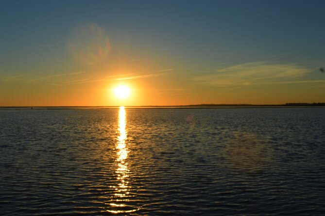 Ria Formosa & Ilhas: Sunset Boat Trip - Ilha da Armona: beach time where the world feels quieter