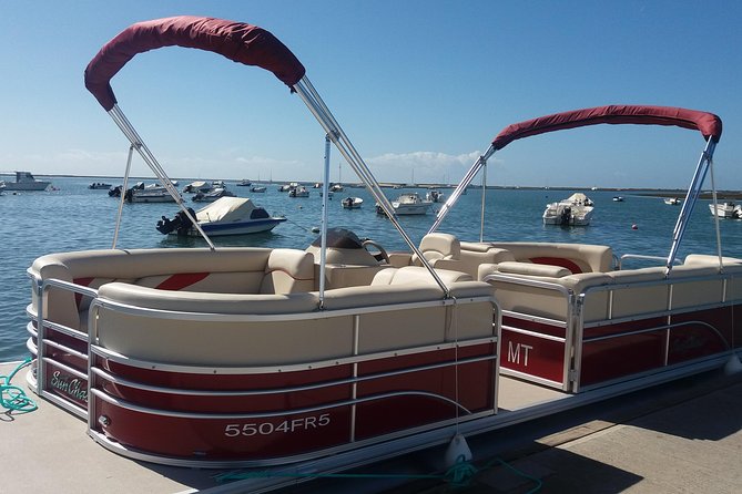 Ria Formosa Natural Park and Islands Boat Cruise from Faro - Stop 1, Barreta Island: Dunes, Wildlife, and a Swim Break