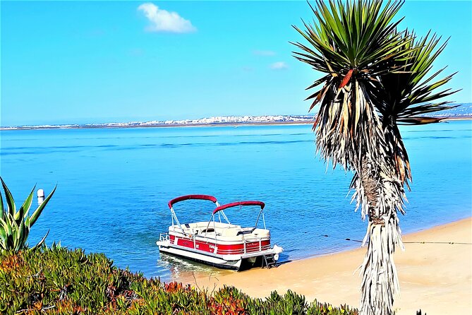 Ria Formosa Natural Park and Islands Boat Cruise from Faro - Stop 3, Ilha do Farol: Houses Over Sand and a Beach Break