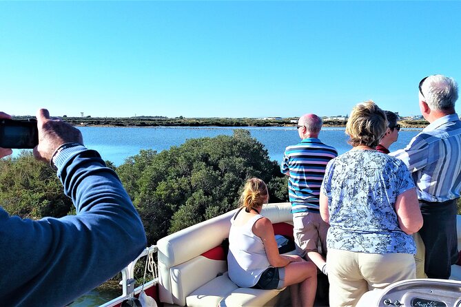 Ria Formosa Natural Park and Islands Boat Cruise from Faro - Timing, Weather, and Why the Same Tour Can Feel Different