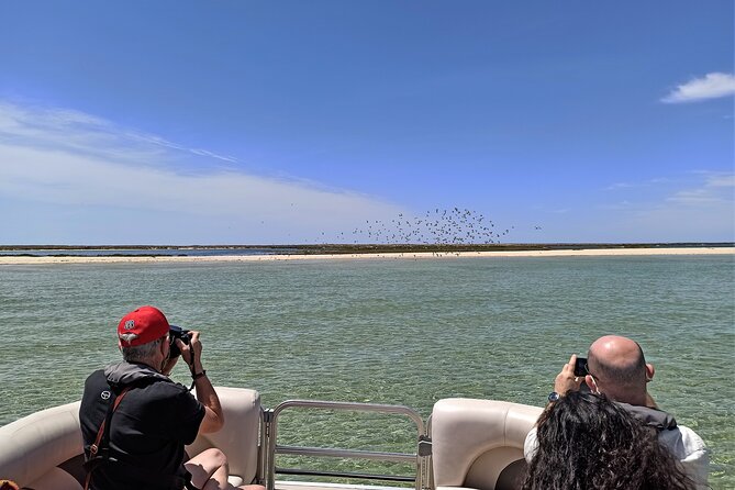 Ria Formosa Natural Park and Islands Boat Cruise from Faro - The Boat Experience: Live Commentary, Regular Boat, and a Max of 15