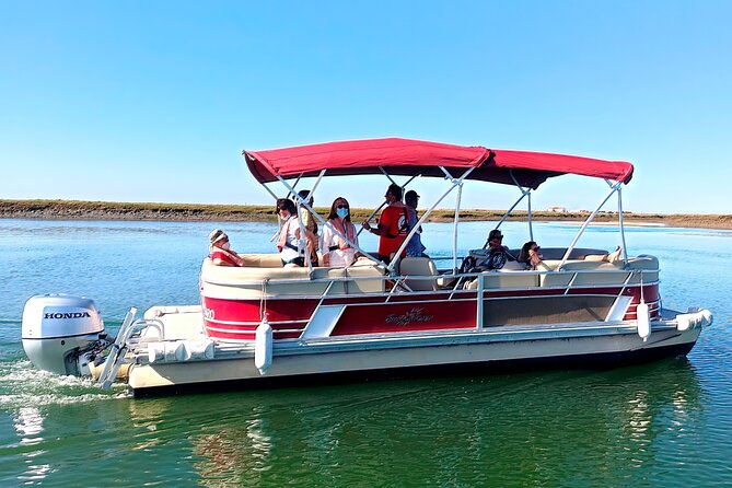 Ria Formosa Sunset 1 hour Boat Trip in Faro - Wildlife spotting tips that make the hour count