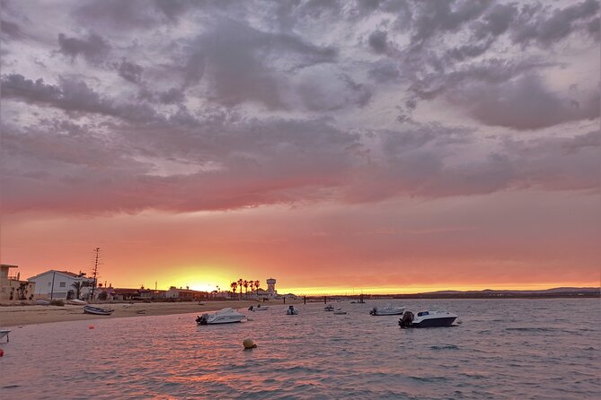 Ria Formosa Sunset 1 hour Boat Trip in Faro - The Ria Formosa Natural Park cruise: what you are really seeing