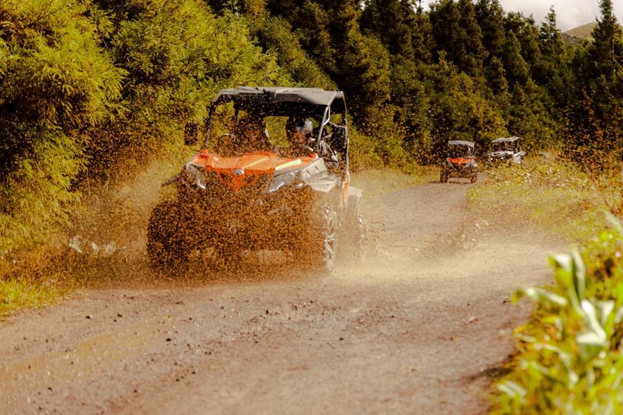 Sao Miguel: Buggy Tour Around Sete Cidades Volcano - Price and value: what $77 buys you in the real world