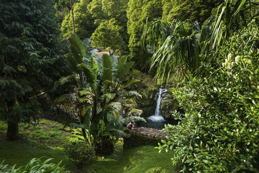 São Miguel East: Full-Day Van Tour with Lunch - Price and value: is $88 good for an 8-hour east loop?