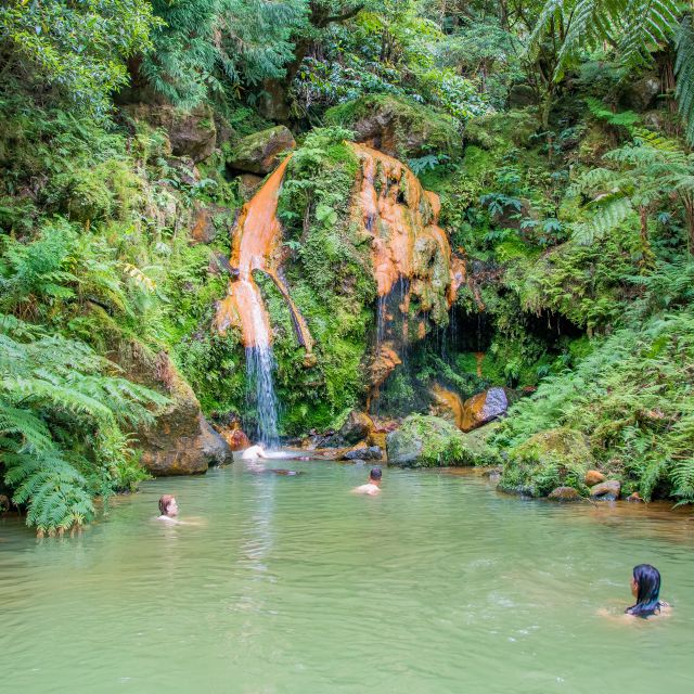 São Miguel: Full-Day Tour to Sete Cidades and Lagoa do Fogo - Pineapple Plantation Visit: Why This Stop Feels Different