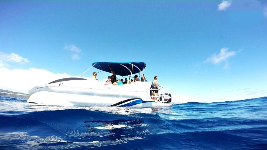 São Miguel: Glass Bottom Boat Tour with Snorkeling - The biologist briefing: what you will be looking for