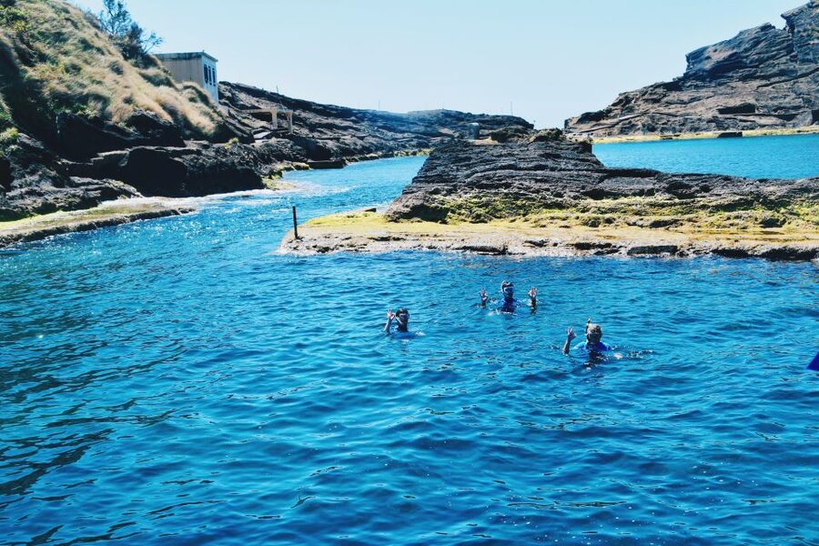 São Miguel: Glass Bottom Boat Tour with Snorkeling - Price, value, and what you are paying for