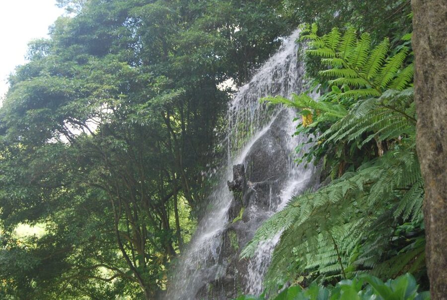 São Miguel: Nordeste, Cliffs & Waterfall Day Trip with Lunch - Setting Off From Ponta Delgada: 9 to 9:20 Pickup and a Tight Route Plan