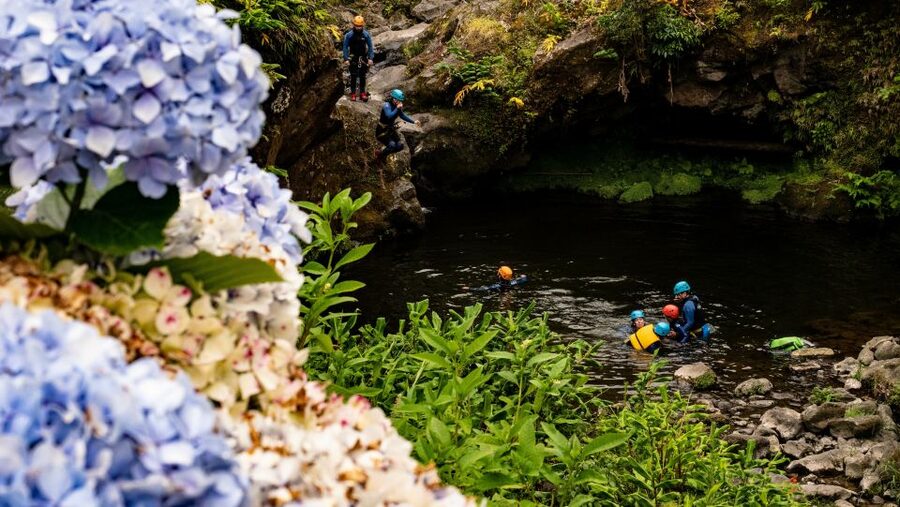 Sao Miguel: Ribeira dos Caldeiroes Canyoning Experience - Price and Value: Is $76 Worth It?