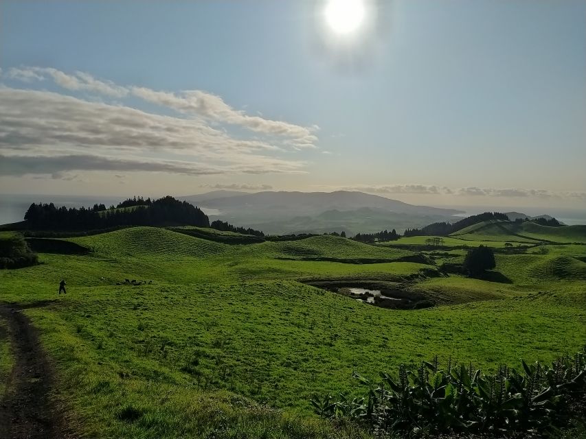 São Miguel: Sete Cidades & Lagoa do Fogo Tour with Lunch - Price and value: what $83 buys you in real time
