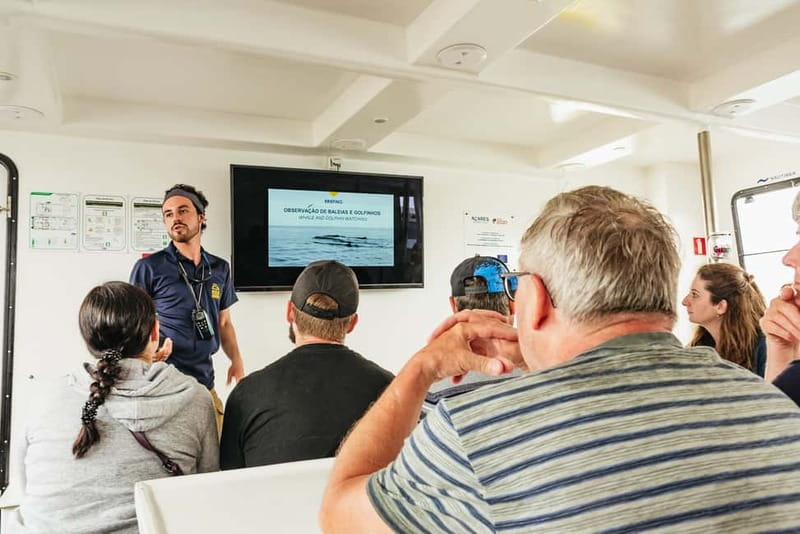 São Miguel: Whale-Watching Cruise with Marine Biologist - The geology bonus on the return sail back to the marina