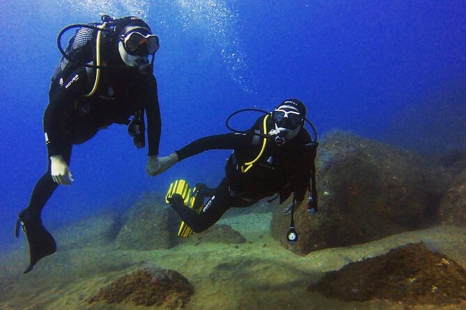 Scuba Diving Experience in Madeira - Equipment included, plus the small details that save headaches