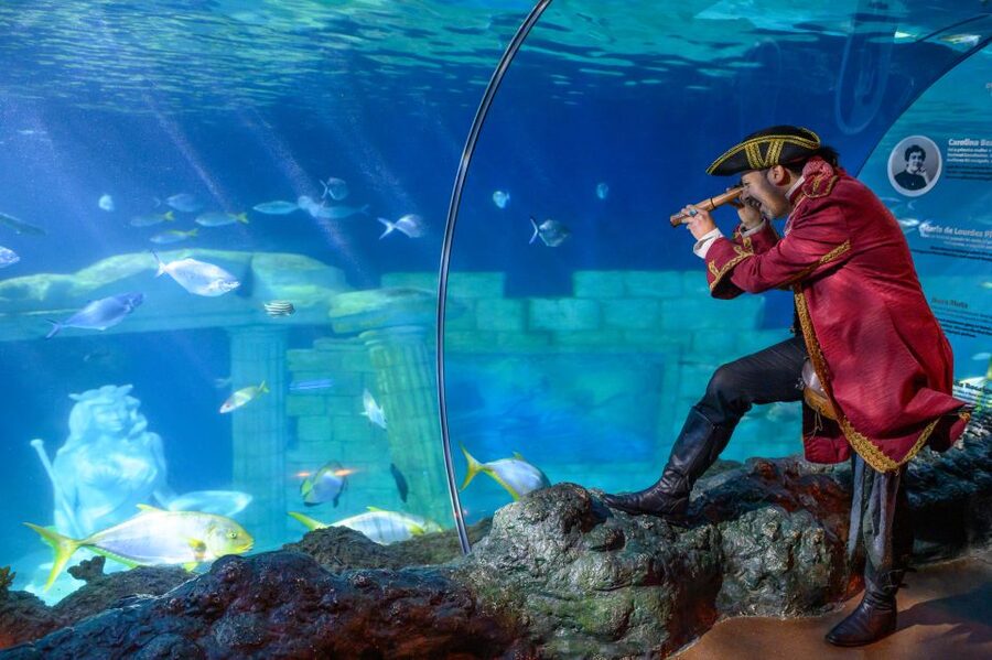 SEA LIFE Porto Full-Day Entrance Ticket - Where SEA LIFE Porto is and how the one-day ticket works