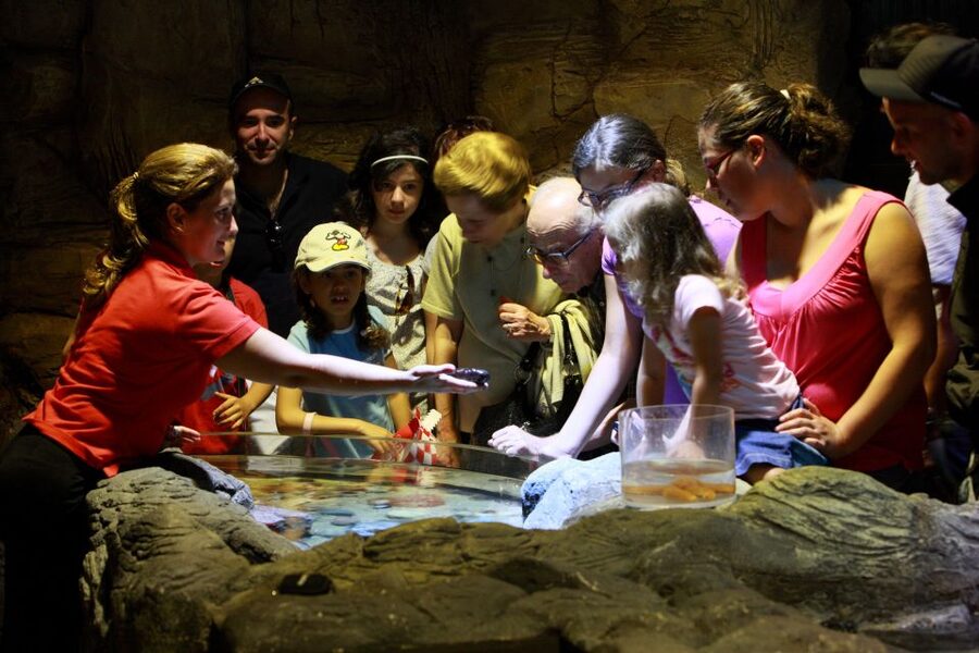 SEA LIFE Porto Full-Day Entrance Ticket - How to pace a day in a smaller aquarium without feeling rushed