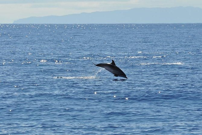 Seaborn Catamaran trips - Onboard bar, toilets, and the water break mindset