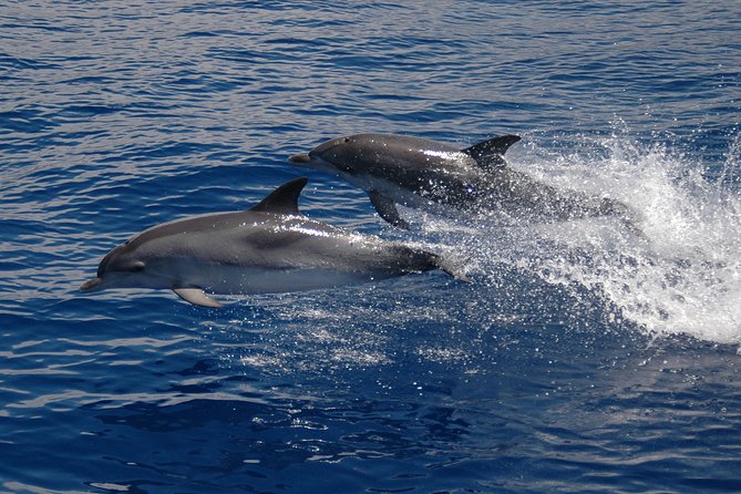 Seaborn Catamaran trips - Crew support and the little extras that make it feel worth it