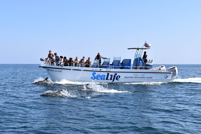 Sealife Sea Safari, Dolphin Watching with Marine Biologist's Lagos - Key highlights worth clocking before you go